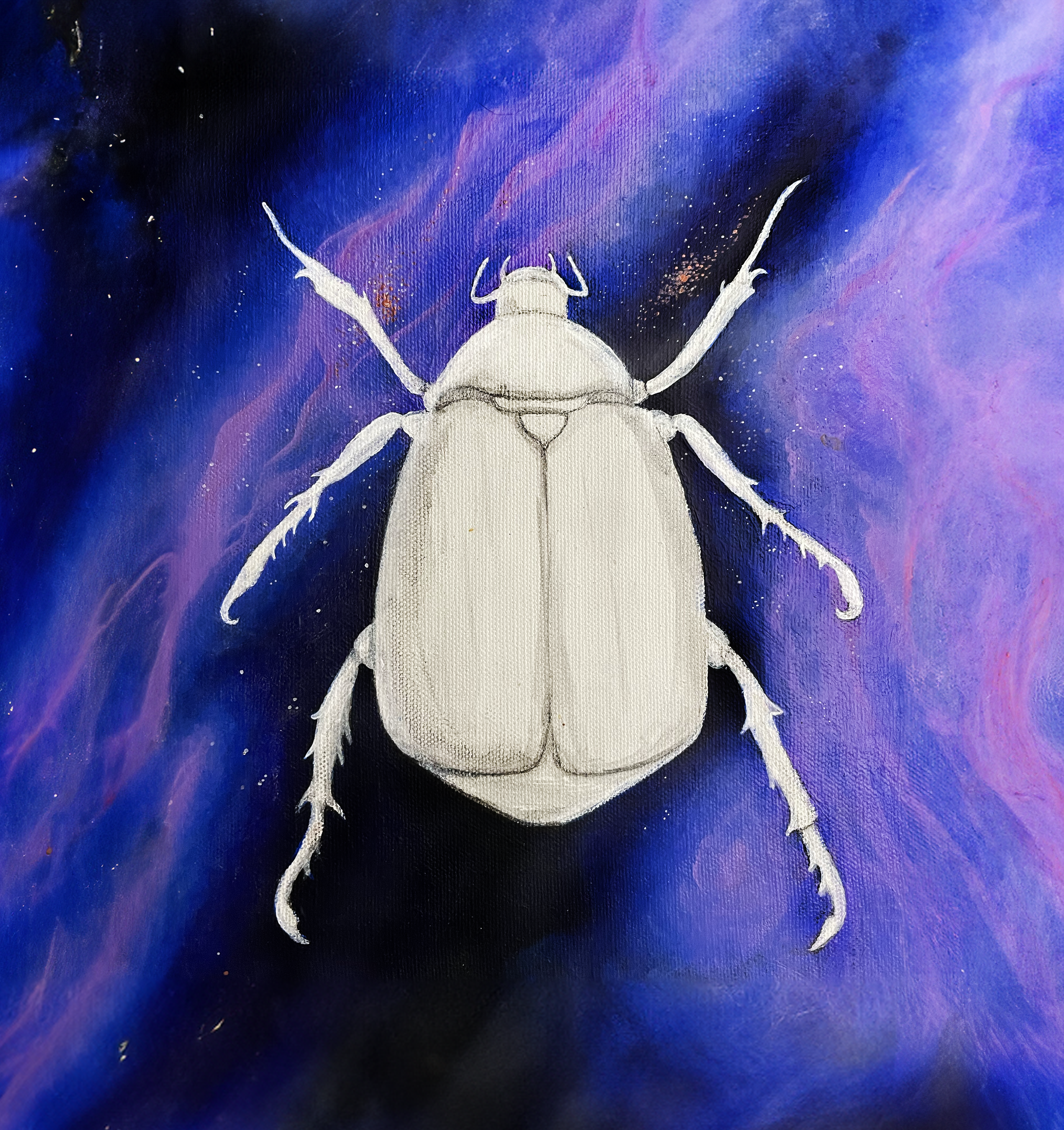 Cosmo Beetle | Canvas Print