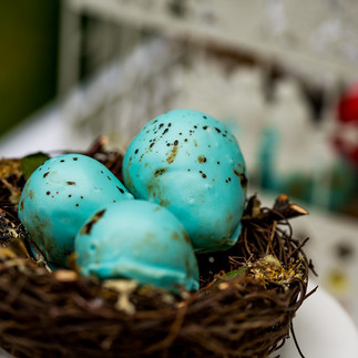 Blue robin’s egg chocolate truffle nestled in a rustic bird’s nest with delicate greenery for a whimsical garden brunch dessert display.