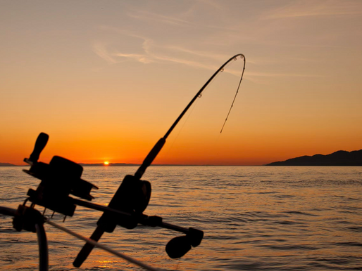 Fishing rod silhouette against an orange sunset over calm sea, with distant hills. Peaceful and serene atmosphere.