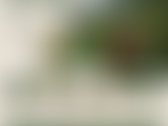 Map of India's coffee regions highlights Karnataka, Kerala, Tamil Nadu, Andhra Pradesh, and Odisha. A woman picks coffee beans in lush green fields.