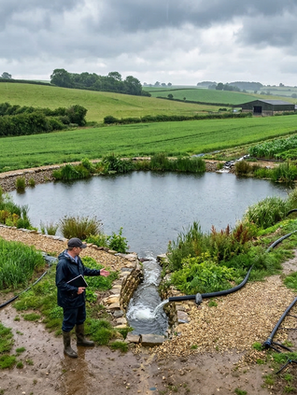 Man with notebook stands by a pond in a lush green farm under cloudy skies. Irrigation pipes run through neatly planted fields.