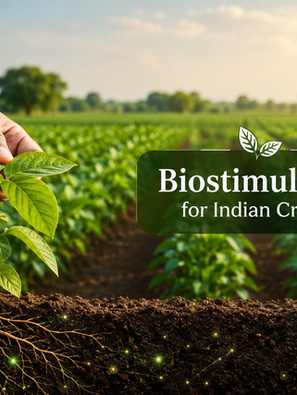 Hands gently hold a seedling in a green crop field; text reads Biostimulants for Indian Crops with IAG logo.