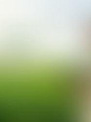 Man in a green scarf uses a tablet in a lush crop field as a drone hovers above; text reads Future of Agri Inputs.