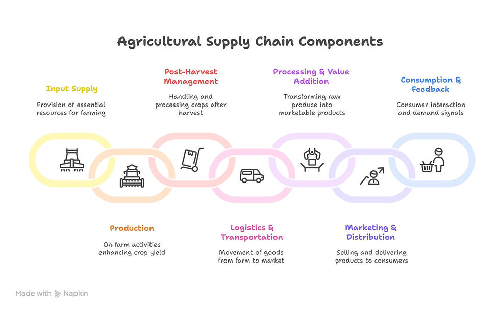 Flowchart titled "Agricultural Supply Chain Components" with stages: Input Supply, Production, Post-Harvest, Processing, Logistics, Marketing, Consumption, linked by colored chains.