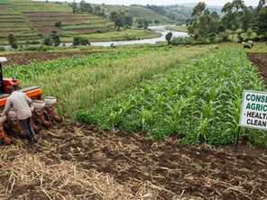 Tractor with farmer sowing seeds on a lush, green farm. Sign reads "Conservation Agriculture - Healthy Soil, Clean Water." Cows graze nearby.