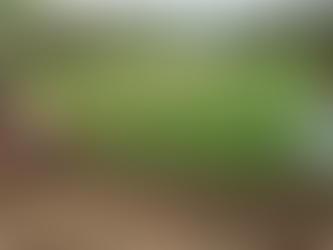 Tractor with farmer sowing seeds on a lush, green farm. Sign reads "Conservation Agriculture - Healthy Soil, Clean Water." Cows graze nearby.