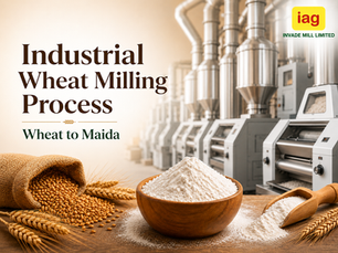 Industrial wheat milling process poster with flour mills, wheat, maida, sacks and logo; text reads Wheat to Maida.