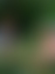 Women with colorful headscarves happily pick coffee cherries in a lush green plantation. Lively mood, abundant greenery, teamwork evident.