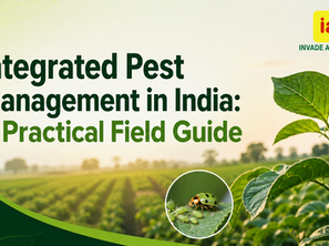 Poster for Integrated Pest Management in India, with IAG logo, crop field, green plant, and ladybug eating aphids.