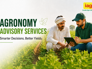 Two farmers review a tablet in a green crop field with Agronomy Advisory Services text and IAG logo.