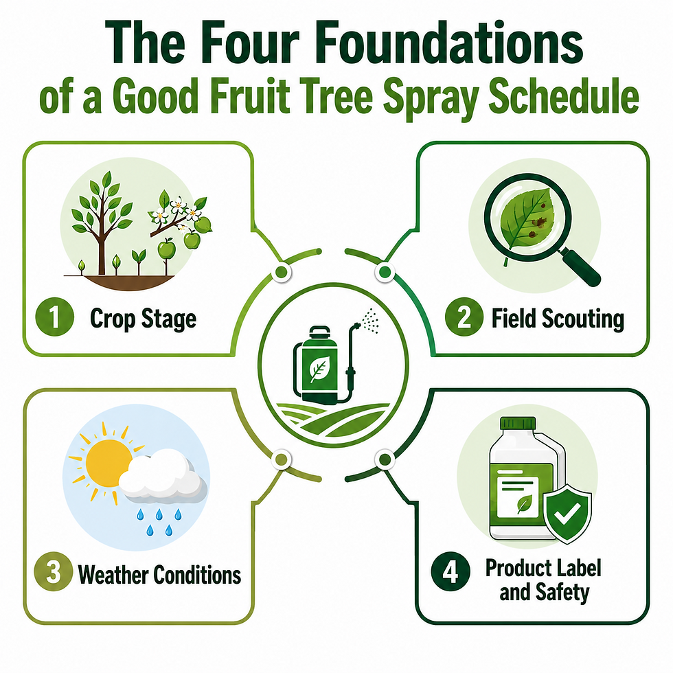 Infographic titled The Four Foundations of a Good Fruit Tree Spray Schedule, showing crop stage, scouting, weather, and product safety.