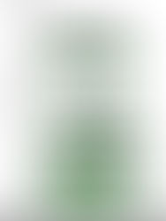 Diagram showing coffee cultivation systems from rustic to sun coffee, with varying tree heights and densities labeled for shade levels.