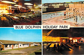 Blue Dolphin Holiday Park, Camping