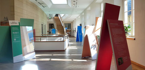 WhatsApp Image 2019-06-20 at 13.37.22(2)