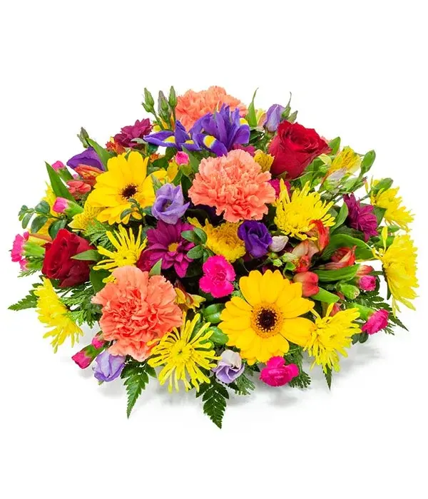 Bright and Vibrant