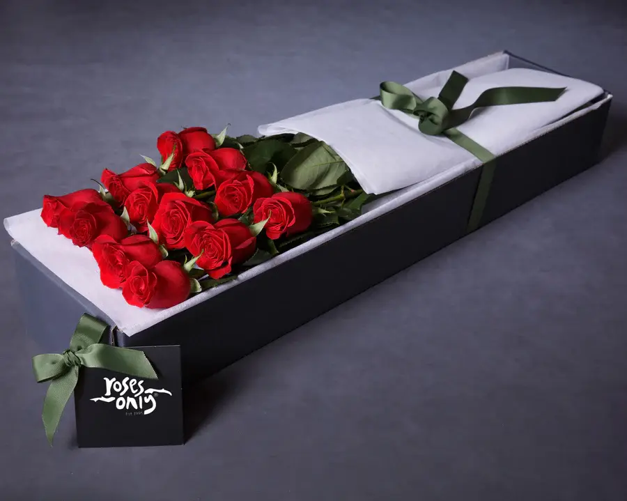 Roses Valentine.webp