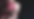 Flower Petals_edited.png