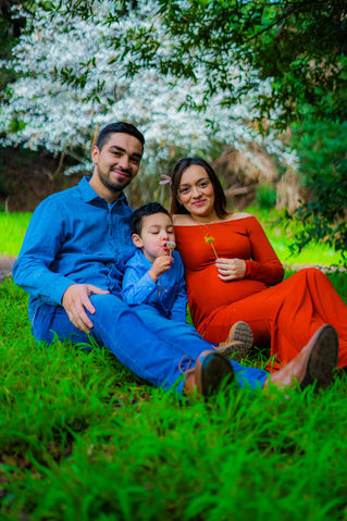 The Maternity Collection