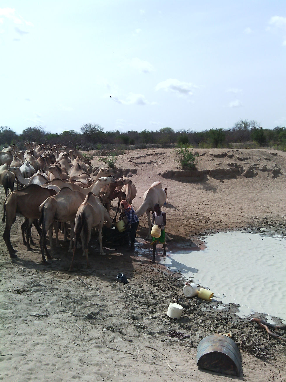 Wasserprojekt Somalia 1