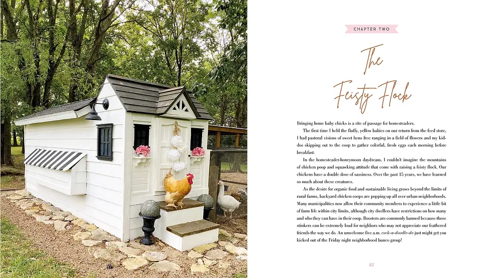 Thumbnail: The Grace-filled Homestead