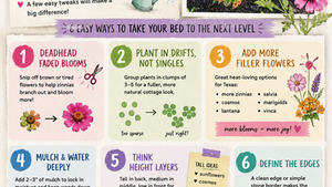 Colorful cottage garden infographic featuring a Texas flower bed with zinnias, gardening tips for fuller flower beds, mulch and watering advice, layering flowers by height, and cheerful floral illustrations in a scrapbook tear-sheet style layout.