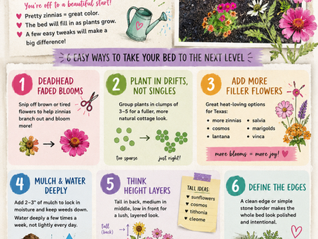 Colorful cottage garden infographic featuring a Texas flower bed with zinnias, gardening tips for fuller flower beds, mulch and watering advice, layering flowers by height, and cheerful floral illustrations in a scrapbook tear-sheet style layout.