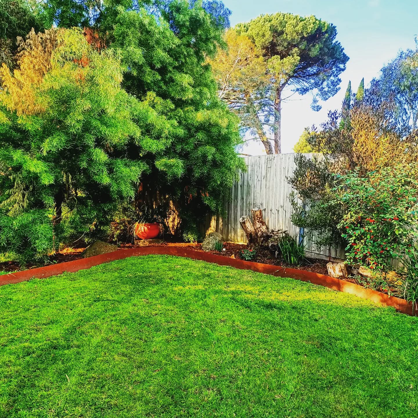 Resowed patchy grass to ensure lushness of growth