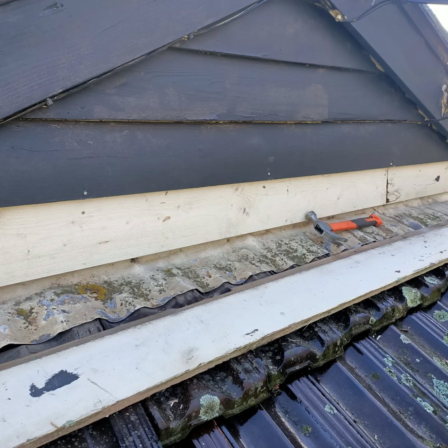 Replacement of rotten weatherboards, then primed and painted