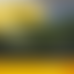 【 本周 TOP 精彩數位社群行銷 】case studies W19 買房難?因為你沒找對人!