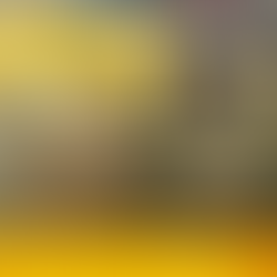 【 本周 TOP 精彩數位社群行銷 】case studies W17 這張會員卡,見證你的青春