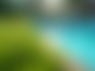 Unlock the Secrets to a Crystal Clear Pool All Summer