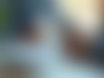 Boost Your Coverage: Local Insurance Solutions Explained