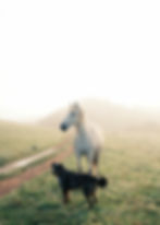DSCF9085.JPG
