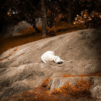 A homeless person sleeping on a rocky terrain in Central Park, NYC.