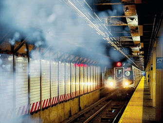 Growing up In New york: a city Girl's Journey