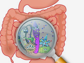 LE MICROBIOTE INTESTINAL