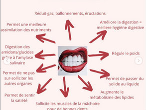 L'Art de la Mastication : raisons et astuces