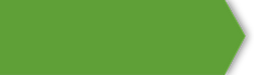 Green Banner Element