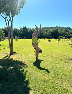 IMG-20240421-WA0010.jpg