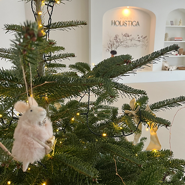 Christmas at Holistica