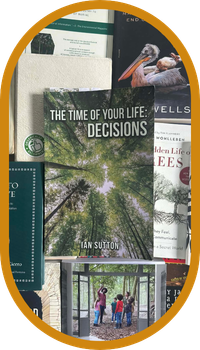 Review of "Time of Your Life: Decisions"