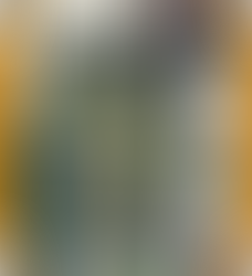 Review of "Time of Your Life: Decisions"