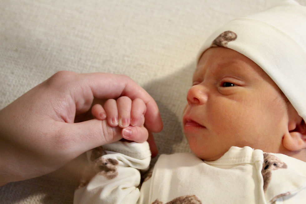 Newborn