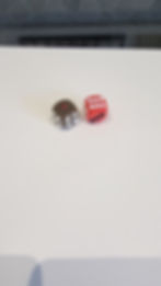 Thumbnail: Santa and Rudolf Sparkly Dice