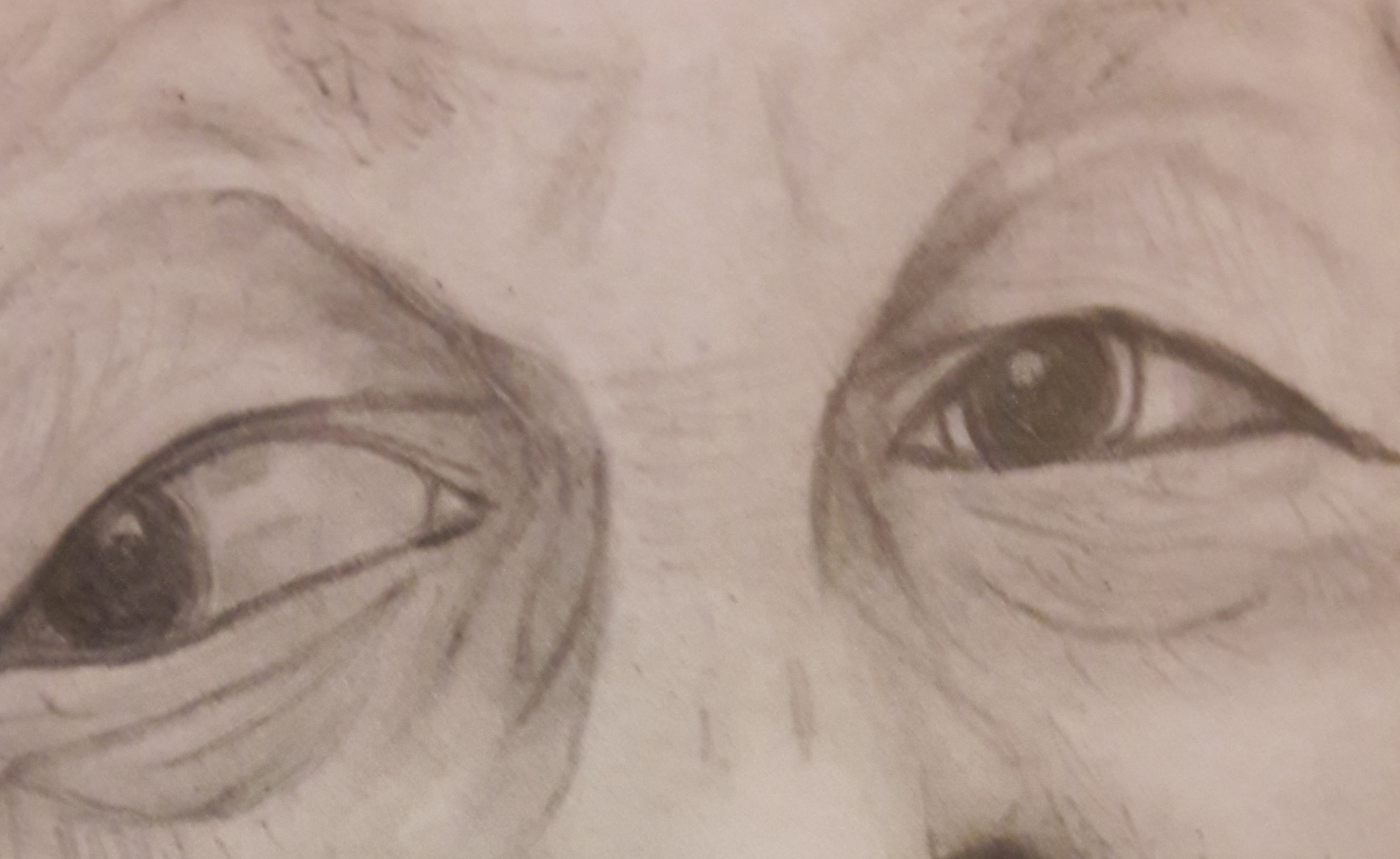 regards