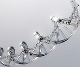 DNA Strand