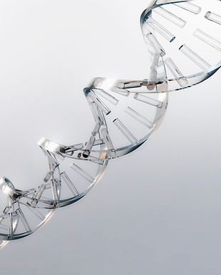 DNA Strand
