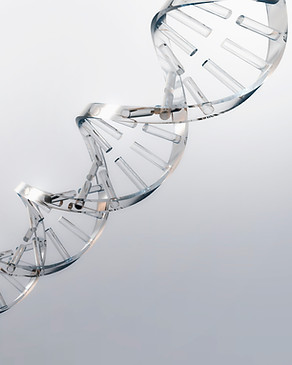 DNA Strand