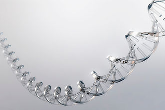 DNA Strand