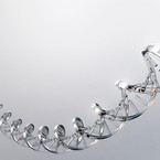 DNA Helix Structure